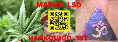 прущие грибы Усть-Илимск