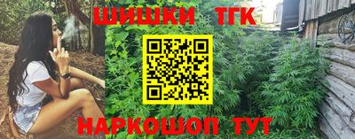 прущие грибы Усть-Джегута