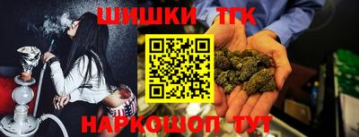 прущие грибы Усть-Джегута