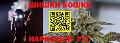 прущие грибы Усть-Илимск