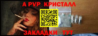 прущие грибы Усть-Илимск