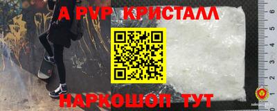 прущие грибы Усть-Джегута