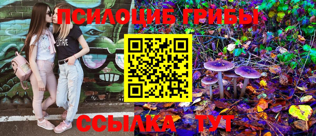 Псилоцибиновые грибы ЛСД Анапа