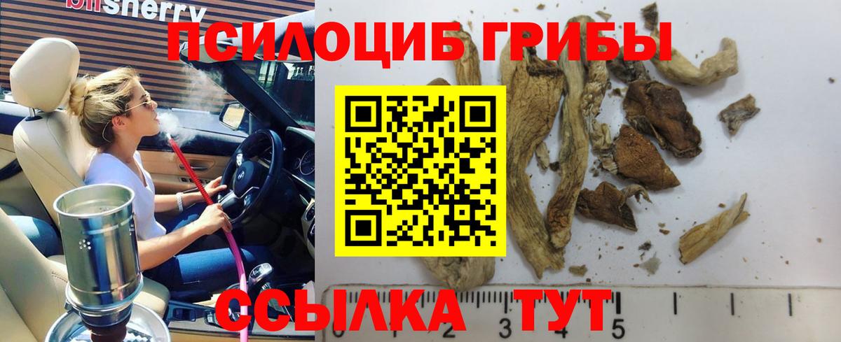 Галлюциногенные грибы прущие грибы  Псилоцибиновые грибы MAGIC MUSHROOMS  Анапа  Вход с VPN 
